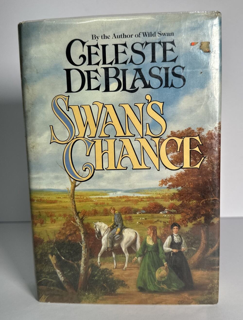 The Swan's Chance by Celeste De Blasis (1985, Hardcover)